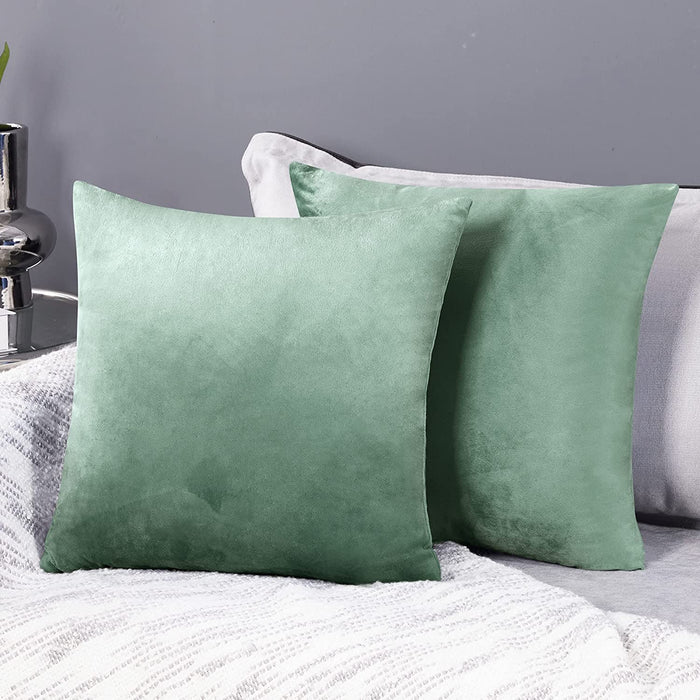 Deconovo Lot de 2 Housses de Coussin en Velours Simples, sans Noyau d'Oreiller - Deconovo France